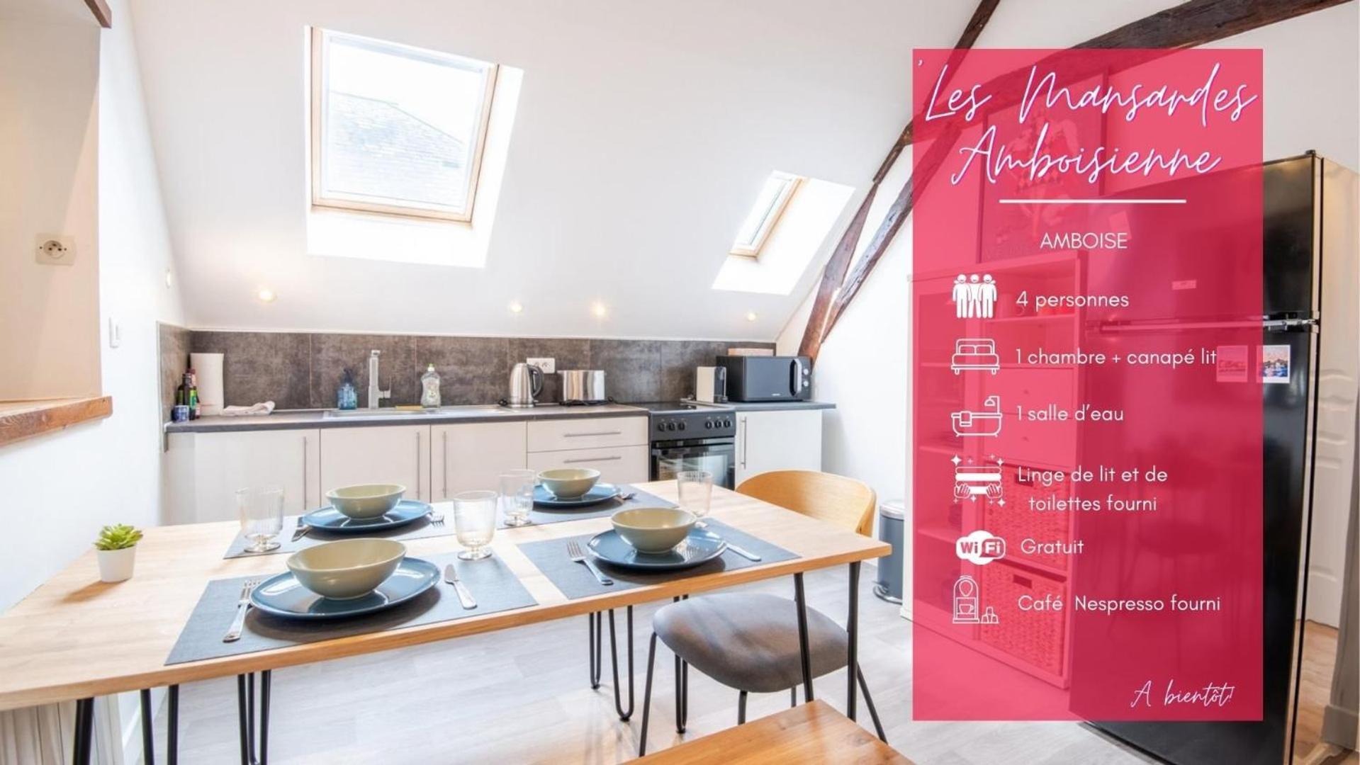 Les Mansardes Amboisiennes Apartment Амбоаз Екстериор снимка